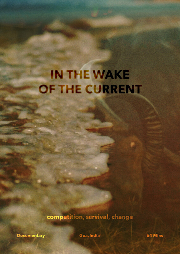 In The Wake Of The Current
